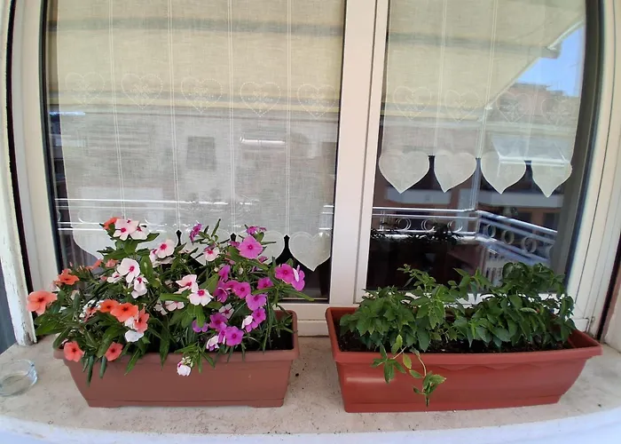 Monnalisa Apartamento *